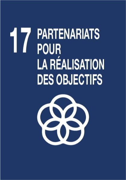 ODD 17 : Renforcer les moyens de mettre en œuvre le partenariat mondial pour le développement durable et le revitaliser
