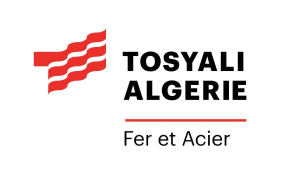 Spa Tosyali iron steel industry Algeria